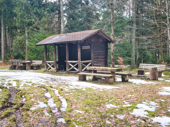 20220205202130-65bfb33b